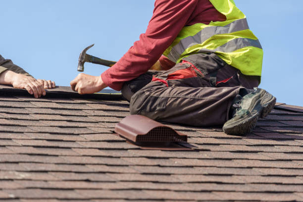 Roof Gutter Cleaning in Rogers, AR